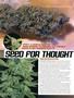 Page: - 98 | High Times