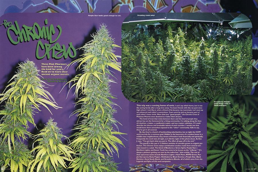 The CHRONIC CREW