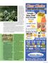 Page: - 31 | High Times