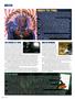 Page: - 38 | High Times