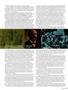 Page: - 55 | High Times