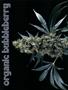 Page: - 64 | High Times