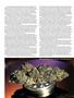 Page: - 67 | High Times