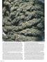 Page: - 68 | High Times