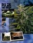 Page: - 94 | High Times