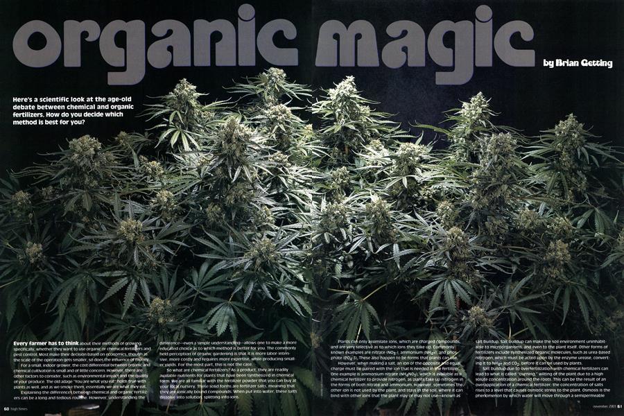 organic magic