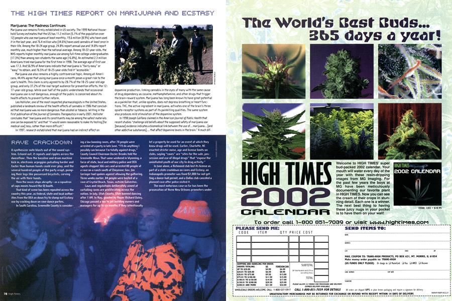 RAVE CRACKDOWN