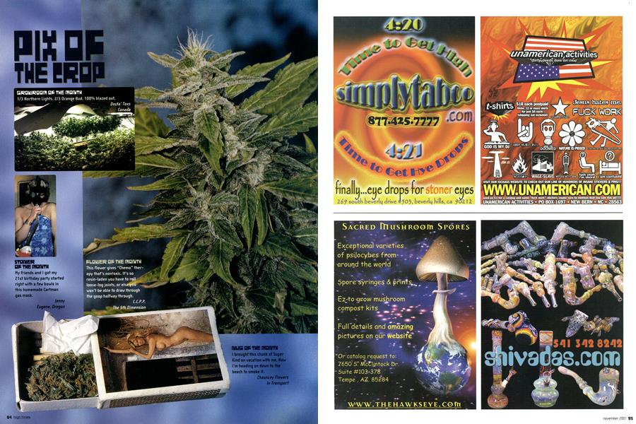 PIX OF THE CROP