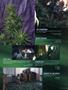 Page: - 105 | High Times