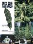 Page: - 106 | High Times