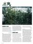 Page: - 114 | High Times