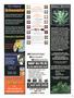 Page: - 125 | High Times