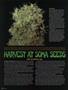 Page: - 58 | High Times