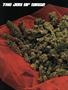 Page: - 68 | High Times