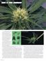 Page: - 70 | High Times