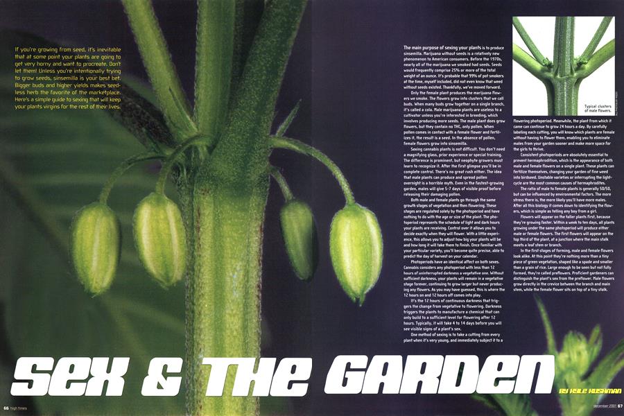 SEX & THE GARDEN