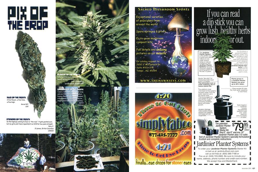 PIX OF THE CROP