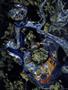 Page: - 59 | High Times