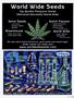 Page: - 93 | High Times