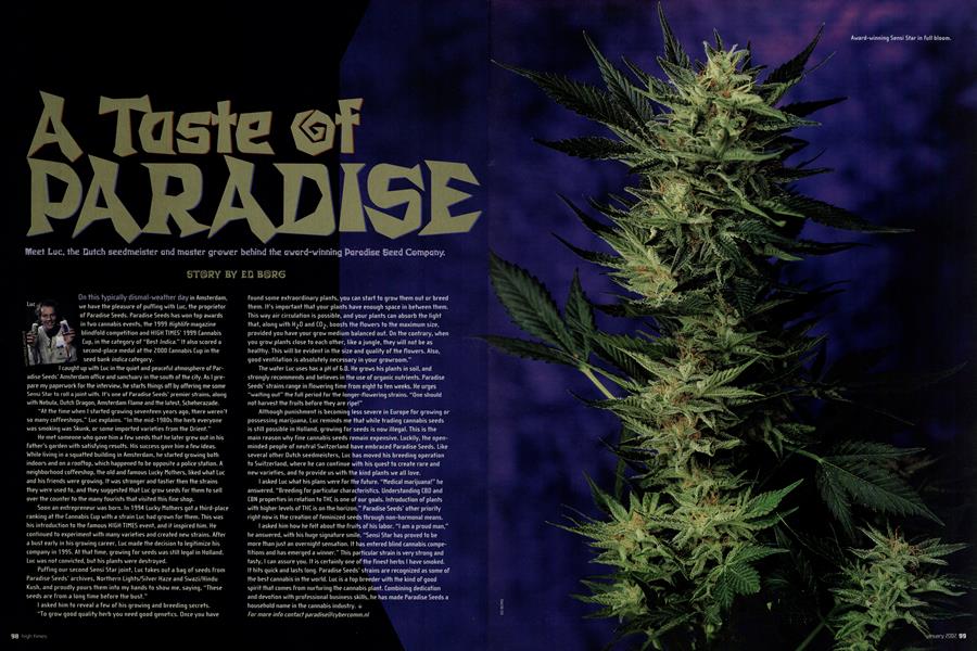 A TASTE OF PARADISE