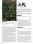 Page: - 102 | High Times