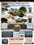 Page: - 29 | High Times