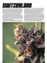 Page: - 54 | High Times