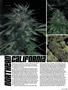 Page: - 55 | High Times