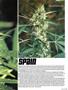 Page: - 57 | High Times