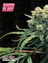 Page: - 60 | High Times