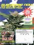 Page: - 72 | High Times