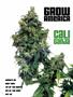 Page: - 83 | High Times