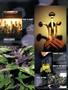 Page: - 85 | High Times