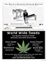 Page: - 87 | High Times