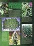 Page: - 99 | High Times