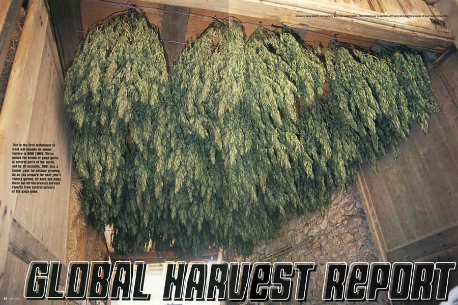 GLOBAL HARVEST REPORT