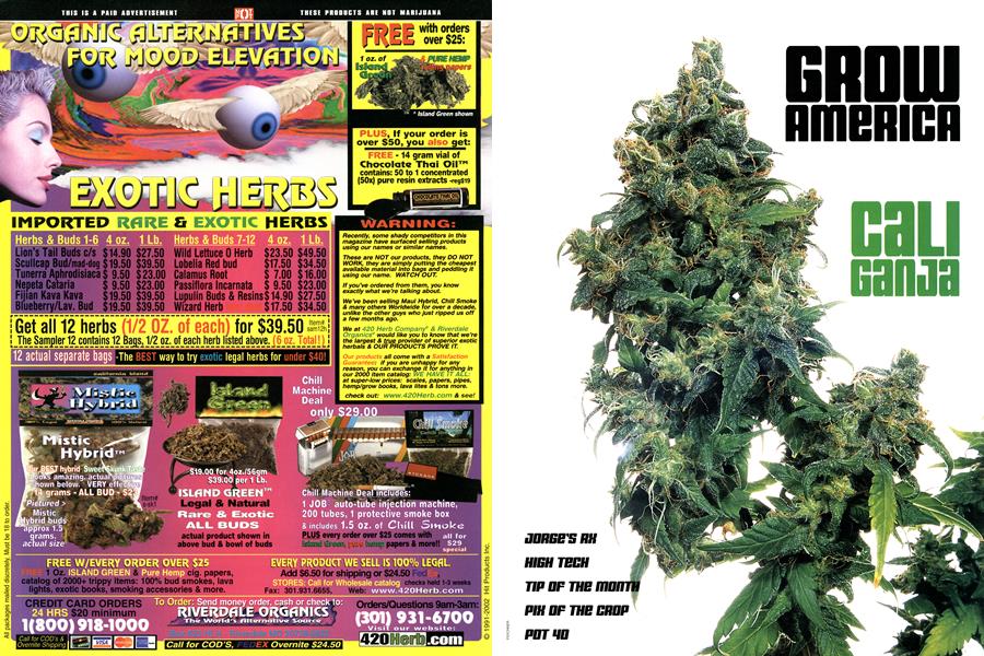GROW AMERICA