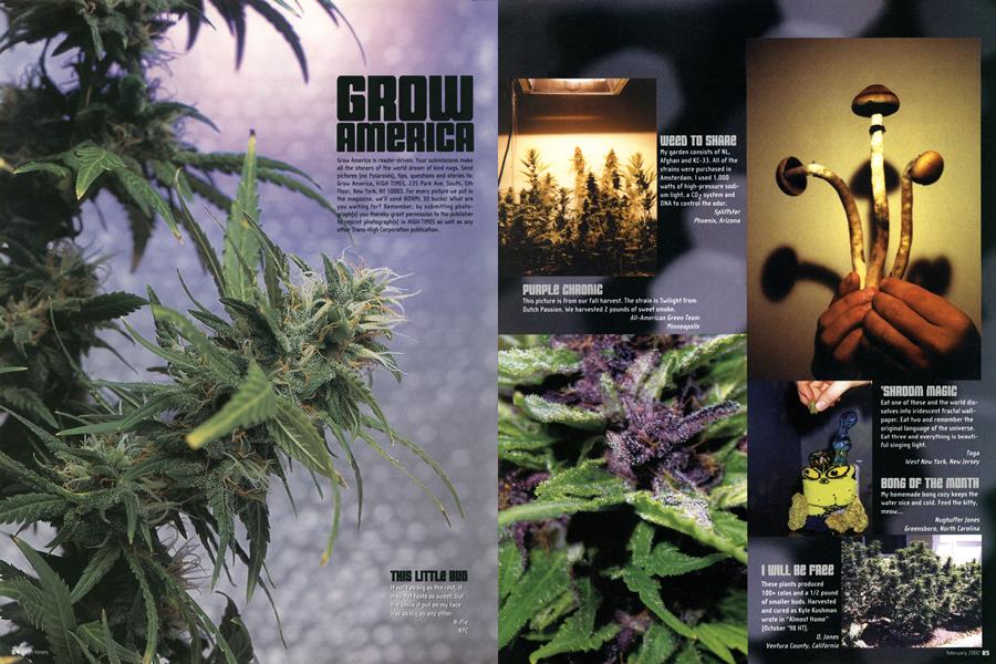 GROW AMERICA