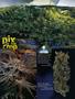 Page: - 104 | High Times