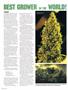 Page: - 110 | High Times