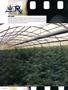 Page: - 112 | High Times
