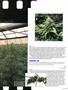 Page: - 113 | High Times