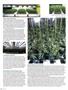 Page: - 66 | High Times
