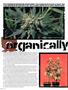 Page: - 76 | High Times