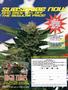 Page: - 88 | High Times