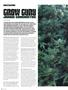 Page: - 92 | High Times