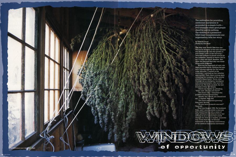 WINDOWS of opportunity