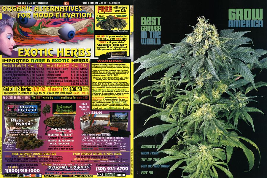 GROW AMERICA