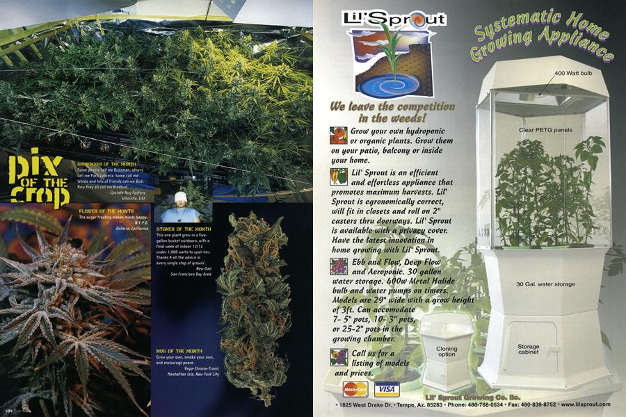 pix OF THE crop