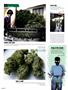 Page: - 102 | High Times